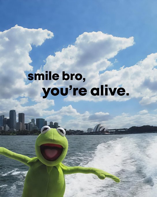 A Kermit the Frog puppet is superimposed against a scenic backdrop of Sydney Harbour with the Opera House visible, with the text 'smile bro, you're alive' overlaying the image.