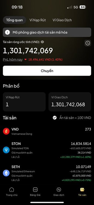 A Vietnamese cryptocurrency wallet app screen displays a balance of 1,301,742,069 VND, showing assets including VND, STON (Simulated TON), and SETH (Simulated Ethereum) with their respective values and gains.