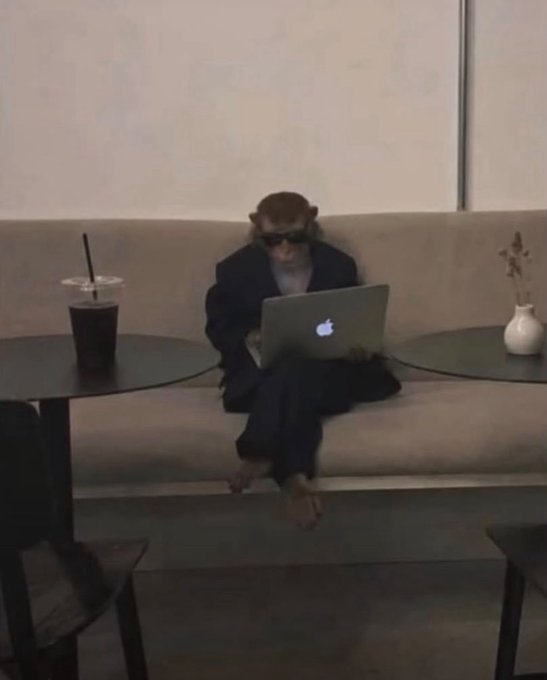 A monkey wearing a dark blazer and sunglasses sits on a beige couch using a MacBook laptop, with a drink and a small vase on the tables beside it.