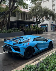 A bright blue Lamborghini Aventador sports car parked on a street next to a curb lined with green plants, with buildings and trees visible in the background.