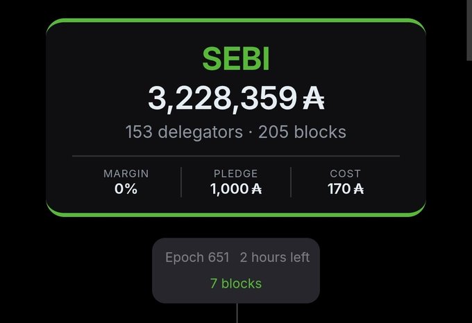 A cryptocurrency/staking dashboard showing "SEBI" with a balance of "3,228,359 A", 153 delegators, 205 blocks, 0% margin, 1,000 A pledge, 170 A cost, and Epoch 651 with 2 hours left and 7 blocks.