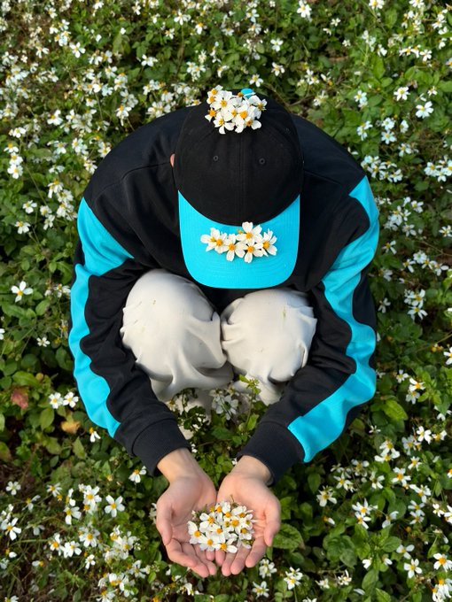 A person crouching in a field of white daisies, wearing a black and cyan jacket and cap decorated with small daisies, holding a handful of the flowers in cupped palms.