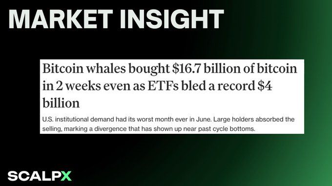 The image displays a "MARKET INSIGHT" graphic with a headline stating "Bitcoin whales bought $16.7 billion of bitcoin in 2 weeks even as ETFs bled a record $4 billion," noting that large holders absorbed the selling during June—a divergence that historically appears near cycle bottoms, branded by SCALPX. The graphic directly supports the post's narrative of quiet institutional accumulation amid panic selling and record ETF outflows.