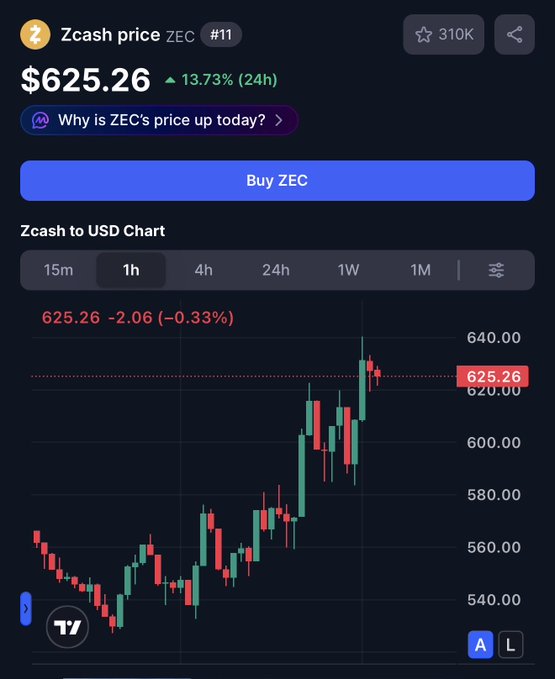The image shows a stock market chart for Bitcoin, which has ZEC coins listed below it at an increasing price over time (updating every 5 minutes). This information suggests that someone might be using these coins as an investment opportunity or tracking their value. The chart displays fluctuations in the value of both Bitcoin and ZEC coins, with the latter's price rising above the former.