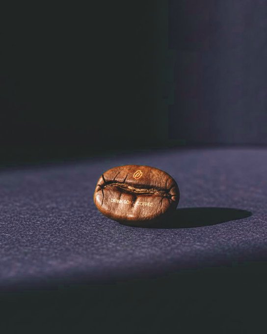A single roasted coffee bean branded with a small coffee bean logo and the text 'DRINKSOLOMON COFFEE' sits on a dark textured surface against a shadowy backdrop.