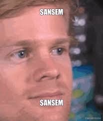 A meme featuring a close-up of a man with blue eyes, labeled with 'SANSEM' above and below his face.