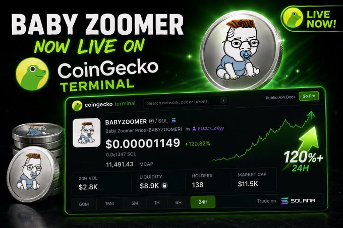 A promotional graphic announcing 'BABY ZOOMER NOW LIVE ON CoinGecko TERMINAL' with a +120% 24H gain, showing the BABYZOOMER/SOL token price at $0.00001149 on CoinGecko Terminal, trading on Solana.