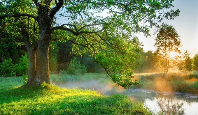 An image of a serene countryside scene featuring lush green trees, a river with water mist rising off the surface, and sunlight illuminating the landscape during sunrise or sunset. The caption for the image is "GM CT! The chain never sleeps, it only prints new chances. Hope your wallet catches one today. explore xoob.link @XOOBNetwork @sleepagotchi @TheARCTERMINAL @quipnetwork".
