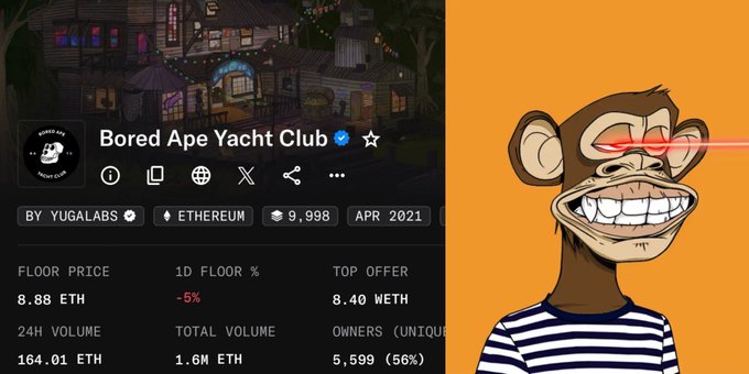 urn of gold coins, a map with a red X, and a cartoon monkey's face are featured on the "Bored Apse Yacht Club" page.