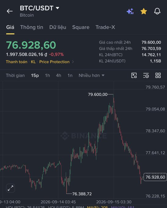 A cryptocurrency trading app screenshot showing Bitcoin (BTC/USDT) priced at 76,928.60 USDT, down 0.97%, with a 24-hour high of 79,600.00 and a Binance candlestick graph.