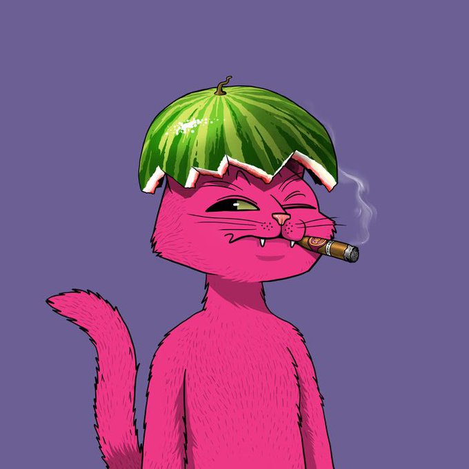A digital illustration shows a pink cat smoking a cigar with a green watermelon rind sitting like a hat on its head.