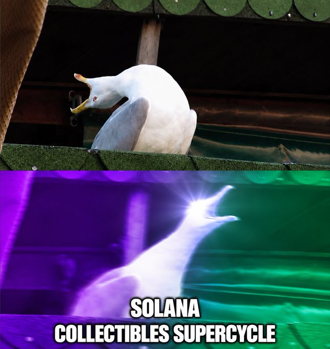 A seagull with an open beak perched on a rooftop is shown in its natural form at the top, while below it the same image is heavily edited with a glowing purple and green color filter and the caption "SOLANA COLLECTIBLES SUPERCYCLE," humorously suggesting that Solana collectibles are experiencing an intense, hype-driven boom compared to the bird's ordinary state.