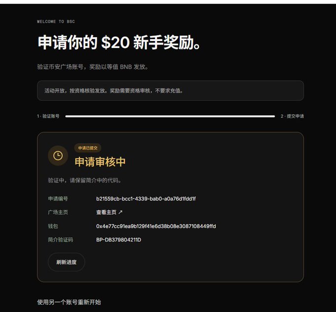 The image shows a Chinese-language webpage titled "申请你的 $20 新手奖励" (Apply for your $20 newbie reward), displaying a verification status screen with the message "申请审核中" (Application under review). It includes an application number (b21559cb-bcc1-4339-bab0-a0a76df1dd1f), a wallet address starting with 0x4e77cc91ea9b129f41e6d38b08e3087108449ffd, and a simple verification code "BP-DB379804211D." This relates to the accompanying post promoting a Binance $20 new user bonus, which appears to be a scam using a fake verification website (bpays.fun) rather than an official Binance page.