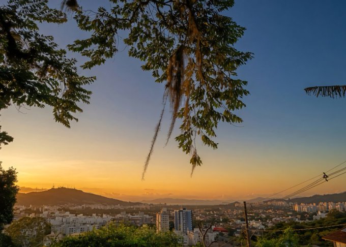 A scenic landscape photograph shows a city skyline and mountains at sunset, framed by tree branches with Spanish moss hanging down against a gradient sky transitioning from blue to orange.