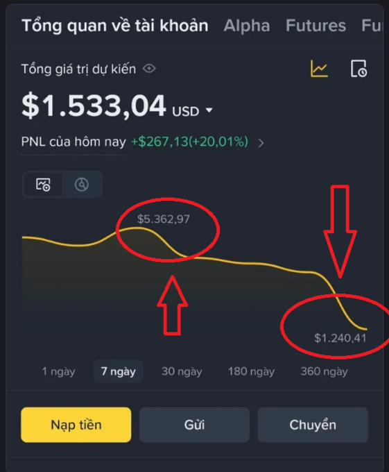 A Vietnamese cryptocurrency portfolio dashboard ('Tổng quan về tài khoản') showing a total estimated value of $1,533.04 USD with a 7-day chart highlighted by red circles and arrows marking values of $5,362.97 and $1,240.41.