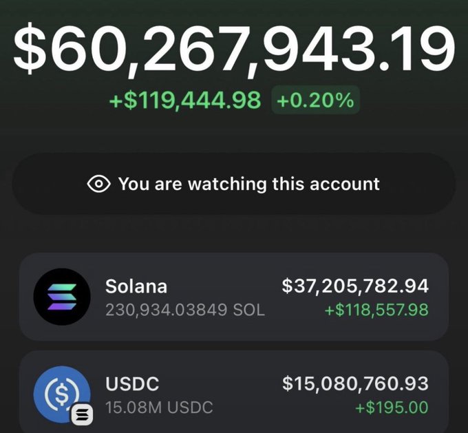 A dark-themed mobile interface showing a watched account balance of $60,267,943.19, containing 230,934.03849 Solana and 15.08M USDC.