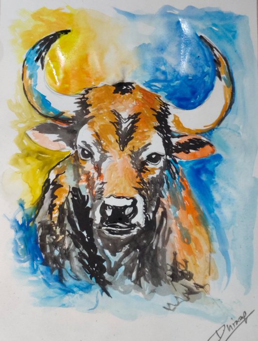 A watercolor painting of a wildebeest or horned animal with curved horns, painted with orange, black, and blue tones against a yellow and blue watercolor background, signed 'Dhiraj'.