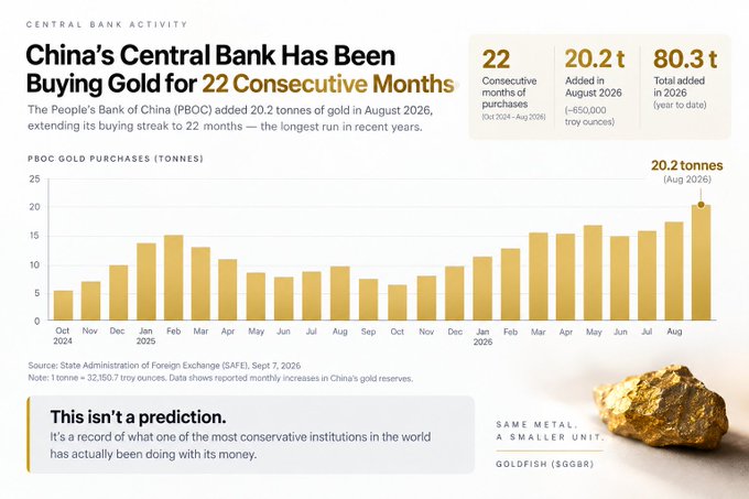 An infographic titled 'China's Central Bank Has Been Buying Gold for 22 Consecutive Months' showing PBOC gold purchases of 20.2 tonnes in August 2026, with a bar chart of monthly purchases and an image of gold nugget representing 'GOLDFISH ($GGBR)'.