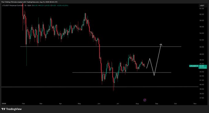 A daily candlestick chart of LTC/USD on TradingView, showing price action ranging from approximately $40 to $62 between February and November 2024, currently priced at $44.94. The chart features a white arrow indicating the analyst's expected short-term dip toward ~$42.50 before a projected rally back above $55, matching the caption's anticipation of a "small leg down" followed by a potential pump.