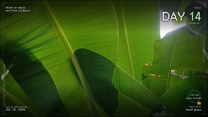 A gamified screenshot with a vibrant green banana leaf background showing 'DAY 14' streak, 'STREAK' and 'TOP 5% grass touchers' badges, with a 'DATE OF CERTIFICATION JUL 12, 2026' and 'CERTIFIED BY touch grass' branding.