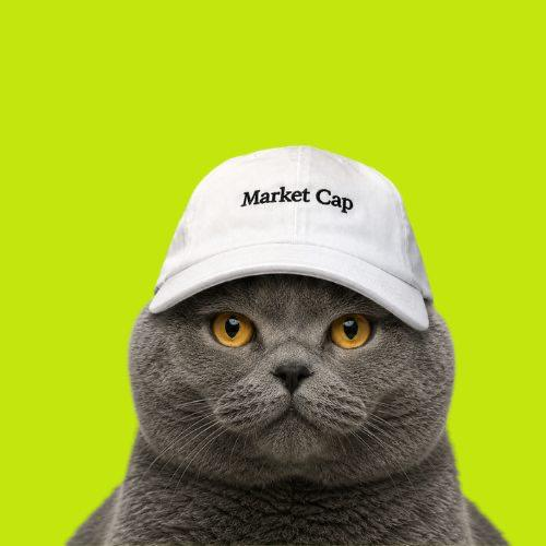 A grey cat wearing a white baseball cap embroidered with 'Market Cap' sits against a bright yellow-green background.