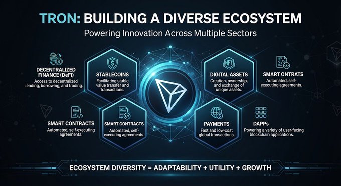 An infographic titled 'TRON: BUILDING A DIVERSE ECOSYSTEM' showing the TRON logo at the center surrounded by hexagonal nodes representing DeFi, Stablecoins, Digital Assets, Smart Contracts, Payments, and DApps.