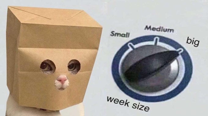 A cute cat peeks out from a small paper bag next to an image of a dial set to "big" labeled "week size," visually echoing the phrase "big week" by pairing a small feline with a larger option.