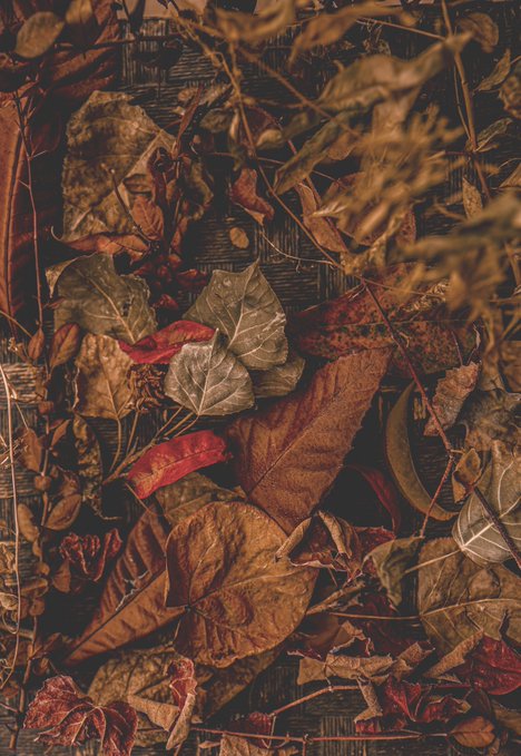 A close-up, warm-toned photograph of dried autumn leaves in shades of brown, orange, and red scattered across a dark wooden surface.