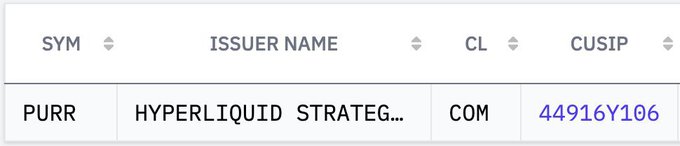 The image shows a security details table for ticker symbol **PURR**, the CUSIP **44916Y106**, classified as **COM** (common stock) under the issuer name **HYPERLIQUID STRATEG...** (truncated). This relates to the post by confirming the ticker and CUSIP of Hyperliquid Strategies ($PURR), the publicly traded entity through which Wyoming obtained its indirect exposure to Hyperliquid's $HYPE token.