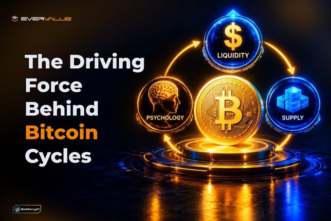 An EverValue promotional graphic titled 'The Driving Force Behind Bitcoin Cycles,' illustrating the concepts of Liquidity, Psychology, and Supply orbiting a golden Bitcoin.