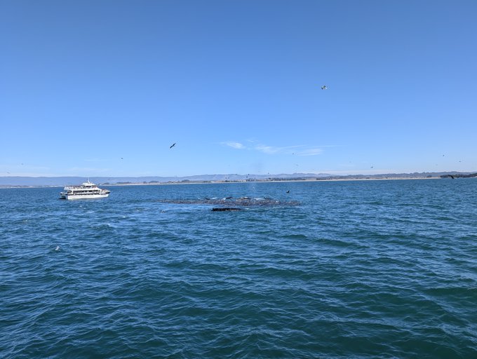 A small boat cruises across a blue body of water with a splash nearby, under a clear sky with birds flying.