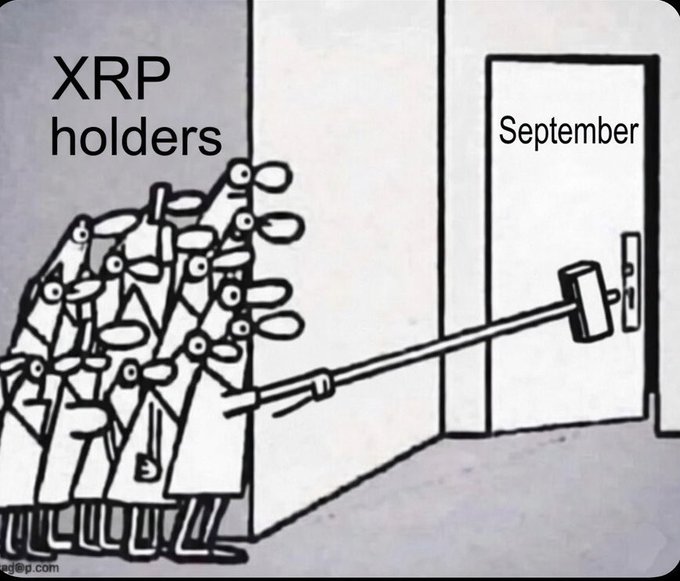 A meme illustration showing a group of people labeled 'XRP holders' using a long pole to reach a doorbell labeled 'September,' implying they are waiting for a price movement that hasn't arrived.