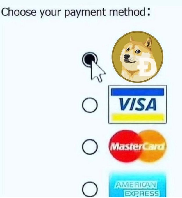 The image features a white background with various payment methods displayed, including Visa, MasterCard, American Express, and Bitcoin Cash logos. A Dogecoin logo is also present among these payment options. The text "Choose your payment method" is written above the payment options, indicating that users can choose their preferred payment method from the provided options.