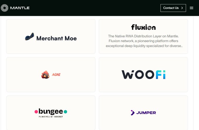 A screenshot of a website header for 'MANTLE' displaying a grid of partner logos including 'Merchant Moe', 'fluxion', 'AGNi', 'woofi', 'bungee', and 'JUMPER'.