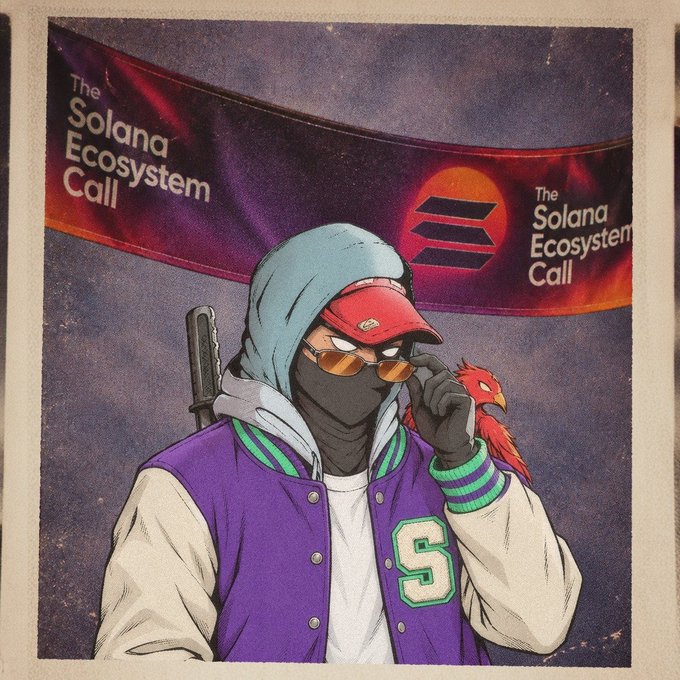 An illustrated character wearing a purple and white varsity jacket with an 'S', sunglasses, and a red cap stands beneath a sign reading 'The Solana Ecosystem Call' with the Solana logo.