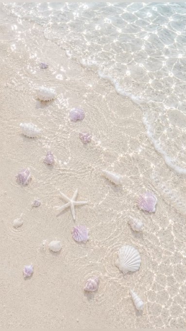 Scattered seashells and a starfish rest on a sandy beach, kissed by the sparkling, shallow ocean waves.