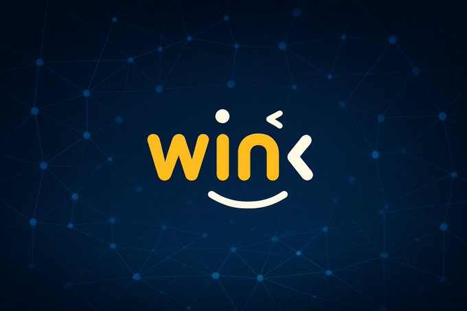 The wink logo, featuring a smiling face with a winking eye, is displayed in yellow and white against a dark blue network-patterned background.