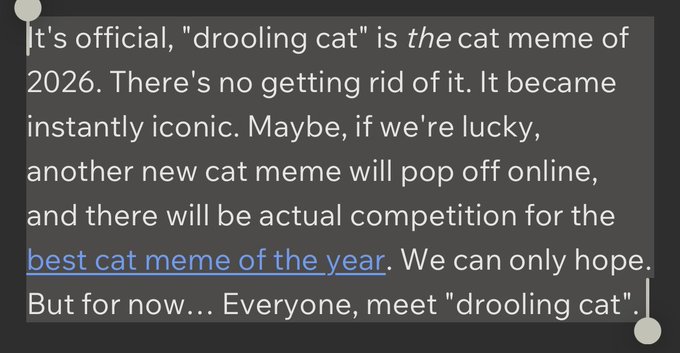 A text screenshot declares "drooling cat" as the 2026 cat meme of the year, noting it has become "instantly iconic" and lamenting the lack of competition for "best cat meme of the year." The passage relates to the $drooling cat token post, which celebrates the meme's massive 100M milestone.