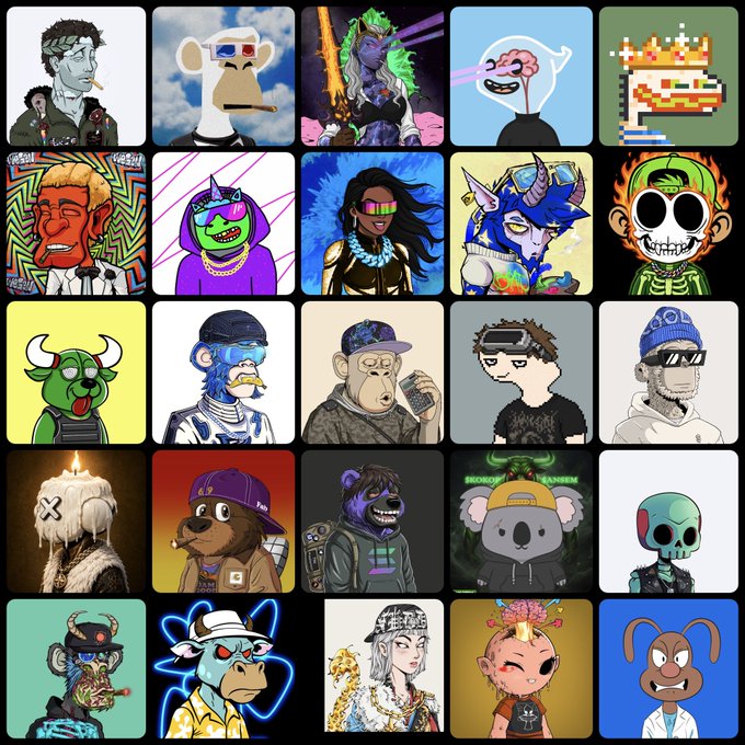A 5x5 grid of Bored Ape Yacht Club-style NFT profile pictures featuring various cartoon apes, characters, and skulls with different accessories and backgrounds.