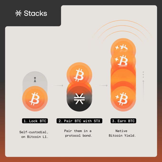 The image is an infographic for Stacks illustrating the 3-step process to earn Bitcoin yield through the protocol: (1) Lock BTC self-custodially on Bitcoin L1, (2) Pair BTC with STX in a protocol bond, and (3) Earn Native Bitcoin Yield. It visually reinforces the message "Stacks is Growing Bitcoin" by showing how users can leverage their BTC to generate more BTC through the Stacks network.