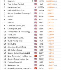 A financial ranking list showing top companies by market capitalization including Strategy, Twenty One Capital, Metaplanet Group, MARA Holdings, and Bitcoin Standard Treasury Co.