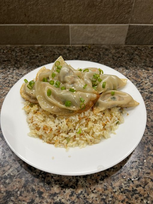 A plate of pan-fried dumplings (potstickers/gyoza) garnished with chopped green onions, served over a bed of fried rice with egg. The dish is presented on a white round plate on a granite countertop.