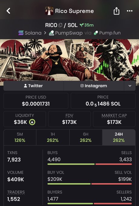 A screenshot of a cryptocurrency token tracker page for "Rico Supreme" ($RICO) on the Solana network, showing a price of $0.0001731, a market cap of $173K, and 24-hour gains of 262%, with a banner image referencing Snoop Dogg.