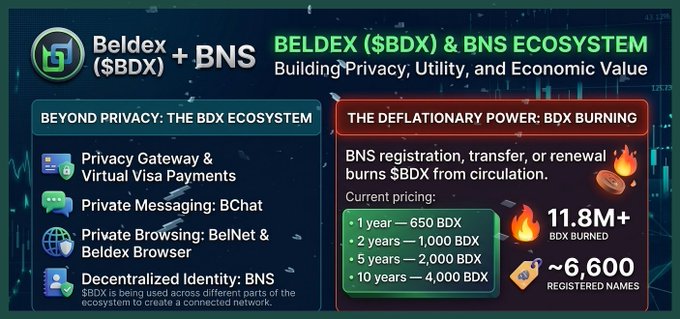 A promotional graphic for the 'BELDEX ($BDX) & BNS ECOSYSTEM' detailing privacy features and the deflationary power of BDX burning, noting '11.8M+ BDX BURNED' and '~6,600 REGISTERED NAMES'.