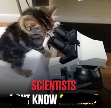 A humorous meme showing a kitten peering into a laboratory microscope with text reading 'SCIENTISTS DON'T KNOW' (partially cut off), poking fun at scientific research.