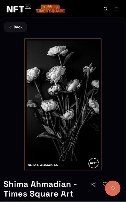 An NFT marketplace page shows a black and white photograph titled 'Shima Ahmadian - Times Square Art' depicting an elegant arrangement of white tulips.