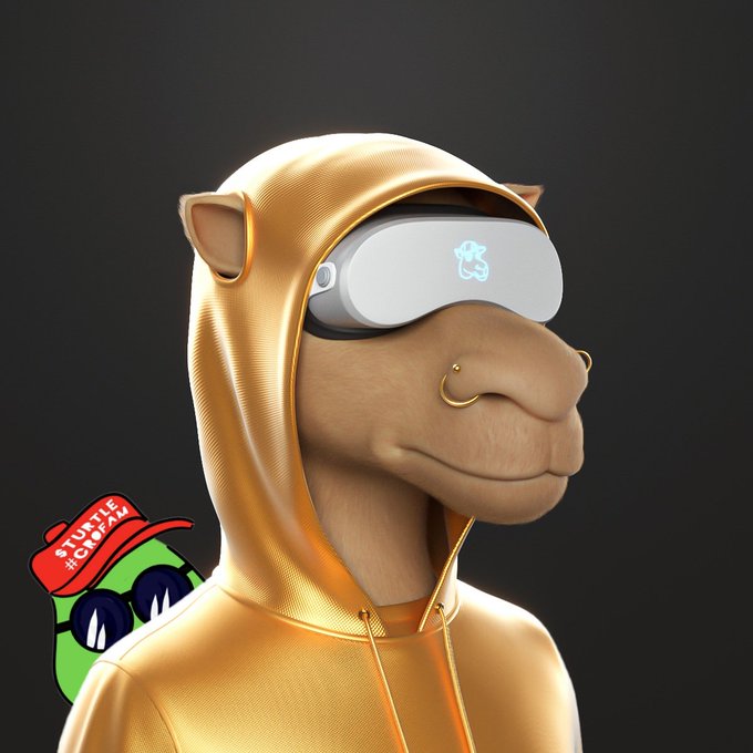 A 3D-rendered camel wearing a yellow hoodie and a VR headset, with a 'TURTLE' logo in the corner.