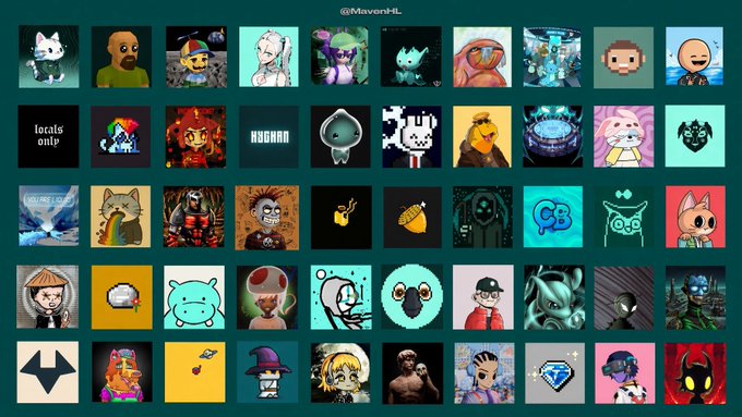 A grid displaying various NFT profile pictures from the collection '@MavenHL', featuring diverse digital art characters and avatars.