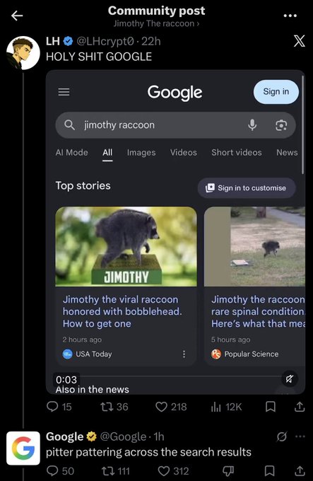 A screenshot shows a community post titled "Community post" featuring a Google search for "jimothy raccoon" with top stories about "Jimothy the viral raccoon" and a comment from the official @Google account reading "pitter pattering across the search results." The image confirms the post's claim that Google's official account commented on the $JIMOTHY community page.