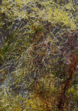 An impressionistic, abstract-style image of a forest or trees with vibrant yellow, green, and reddish-brown foliage rendered with painterly textures.